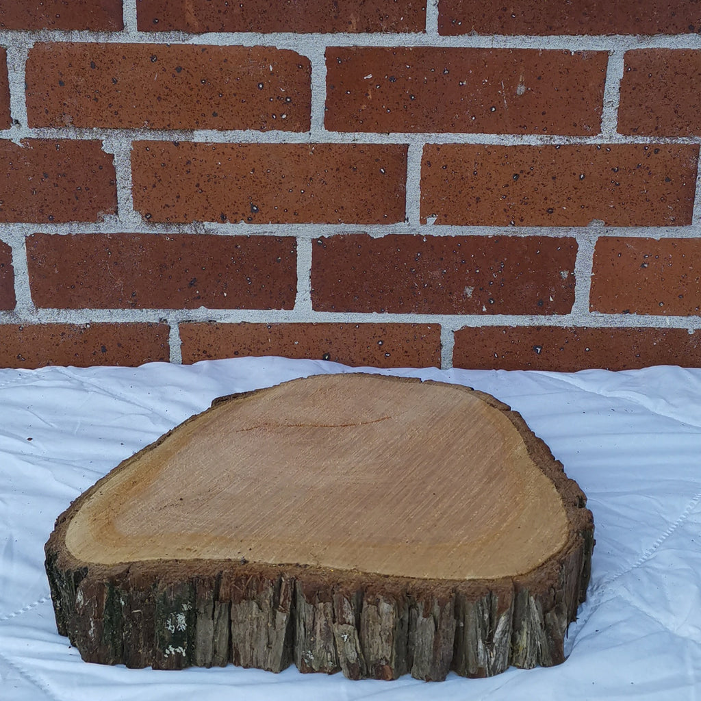 Medium Macrocarpa Rounds