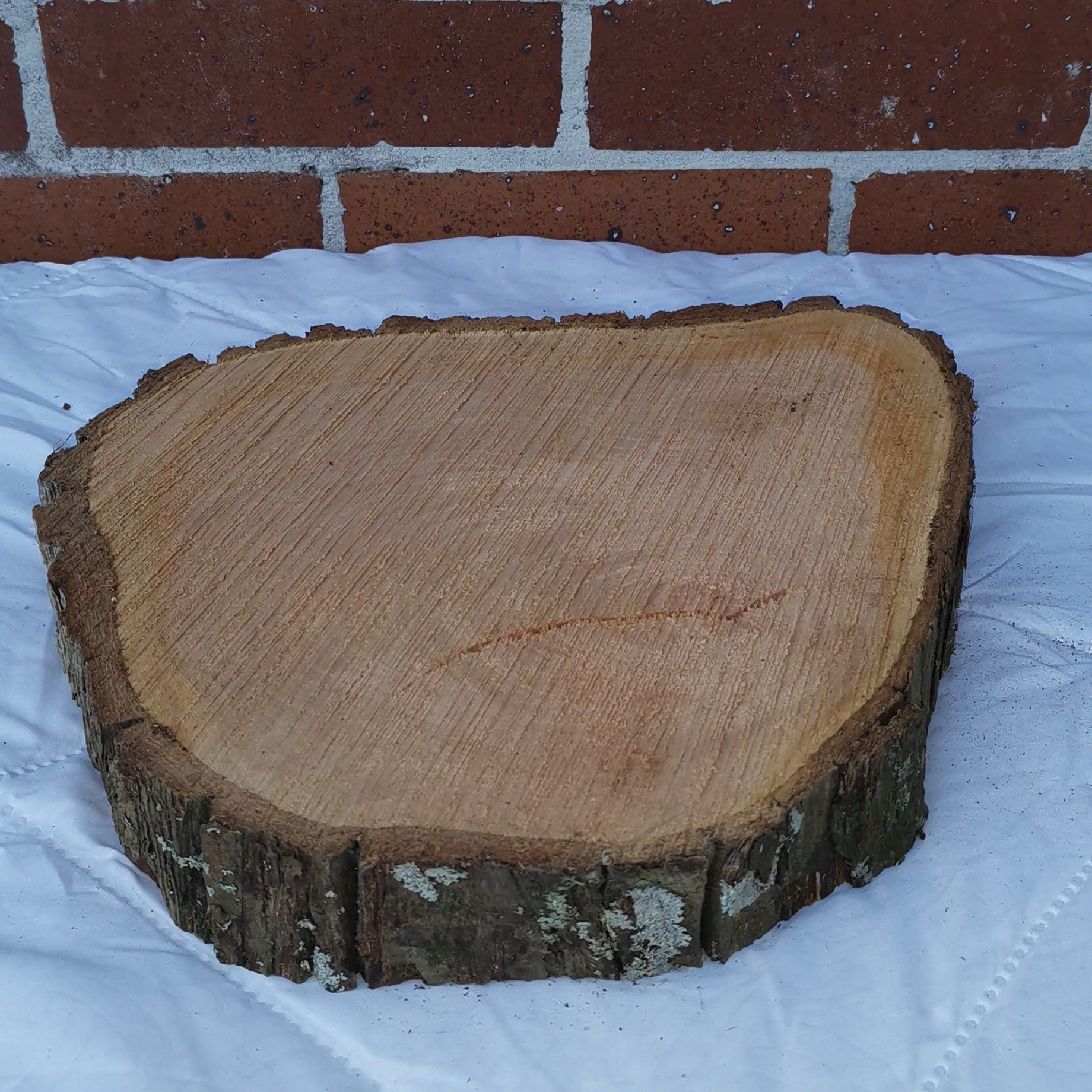 Medium Macrocarpa Rounds