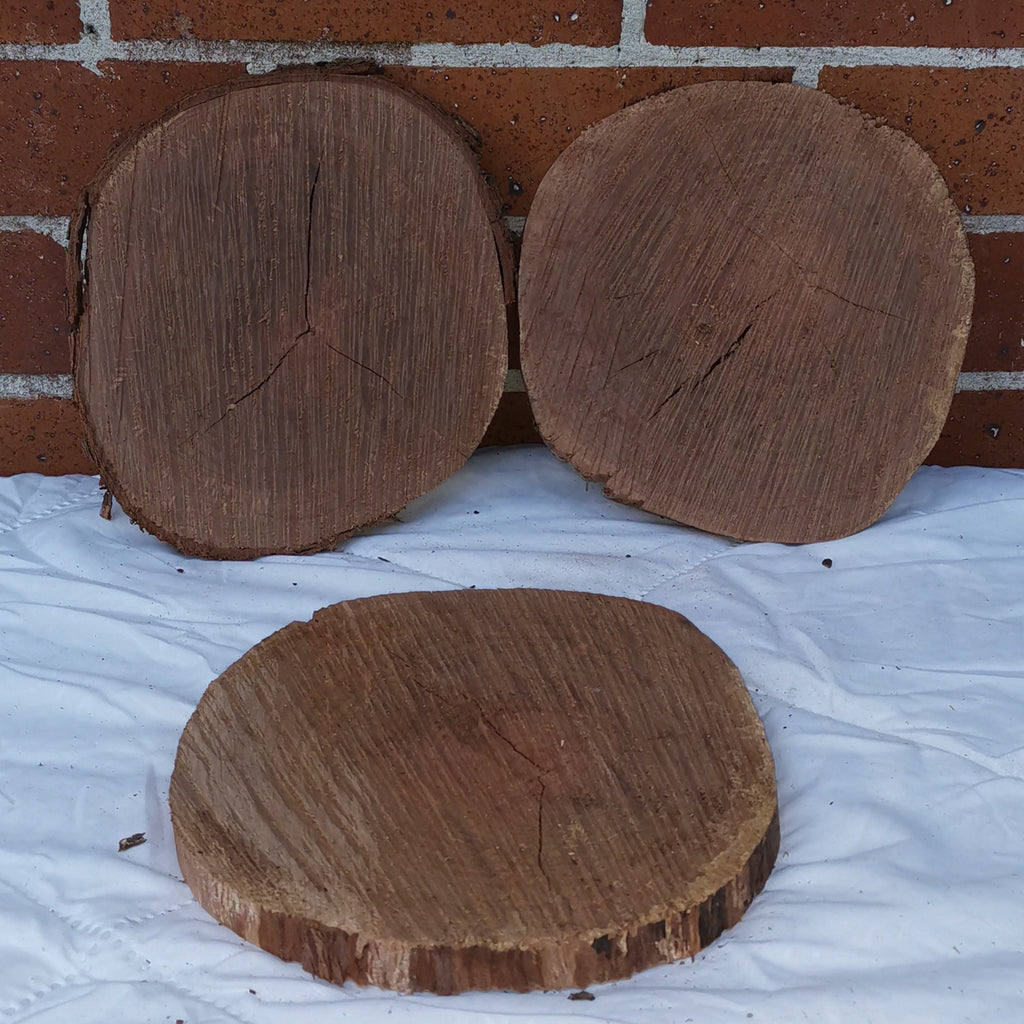 Small/Medium Pohutakawa Rounds