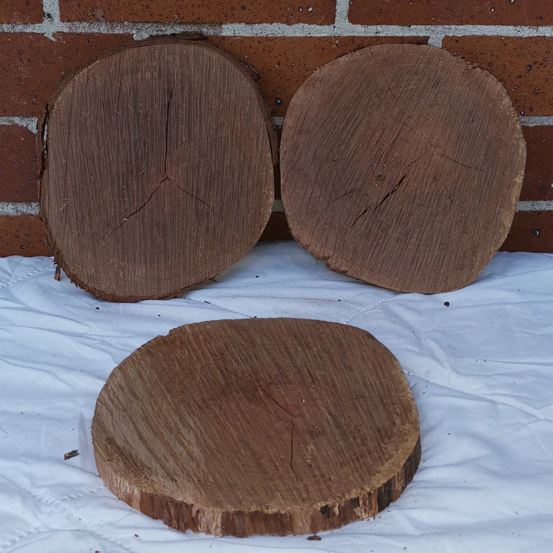 Small/Medium Pohutakawa Rounds
