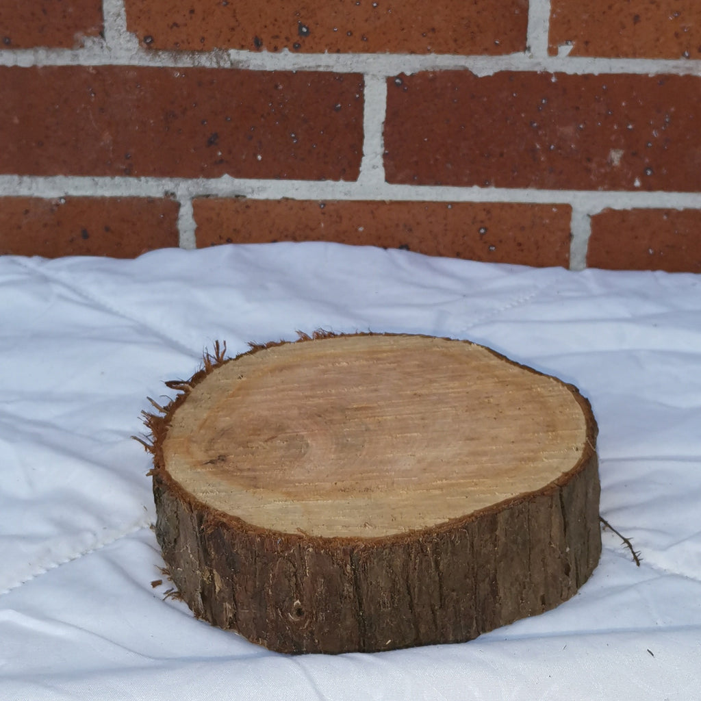 Small Macrocarpa Rounds