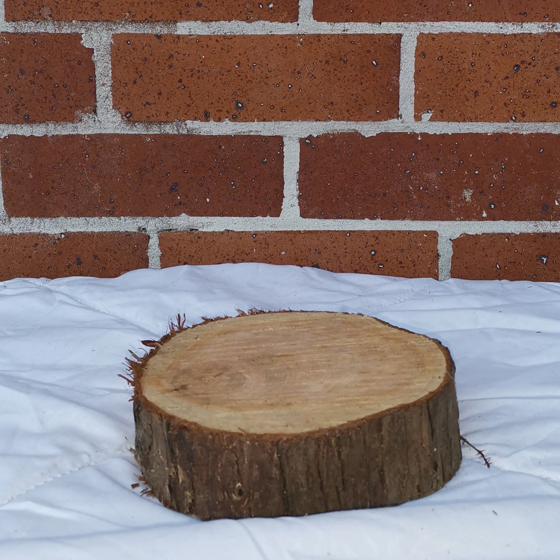 Small Macrocarpa Rounds