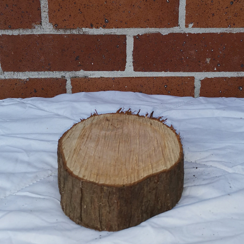 Small Macrocarpa Rounds