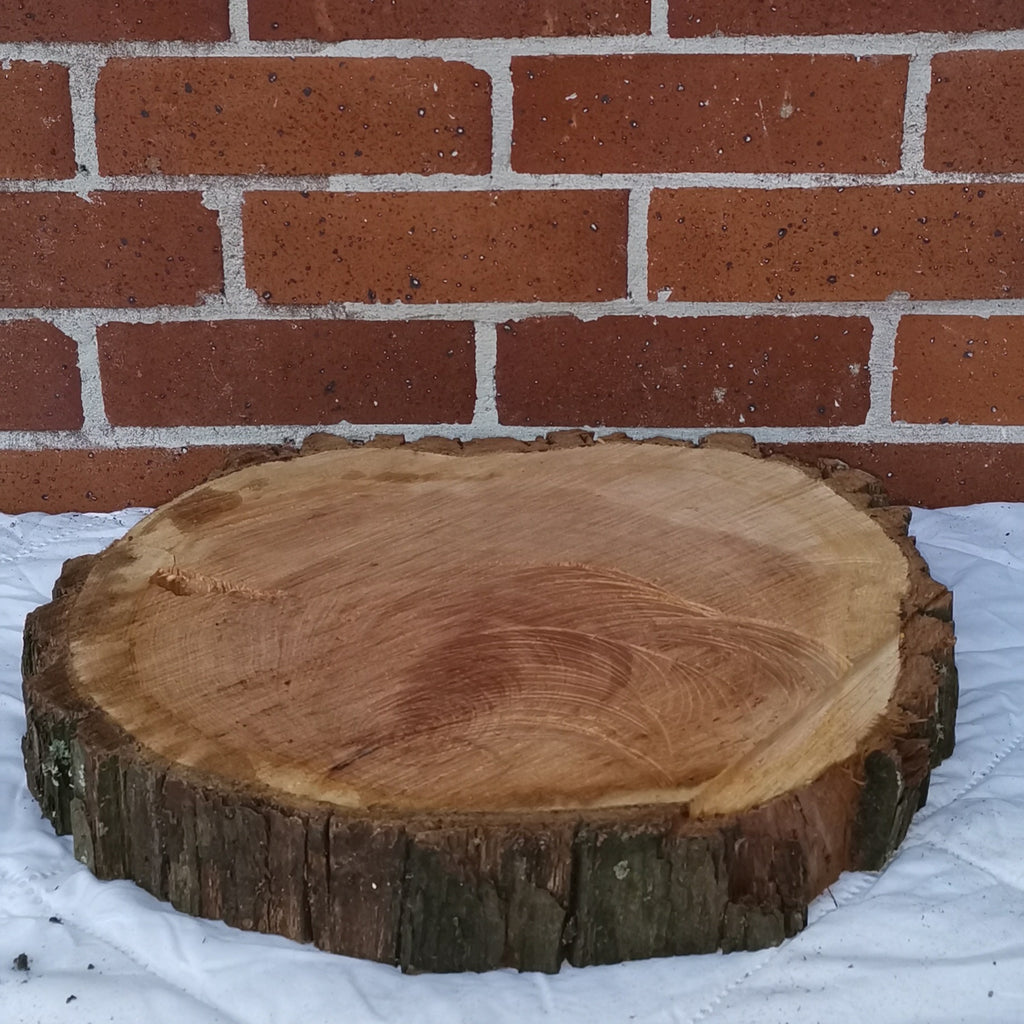 Medium Macrocarpa Round