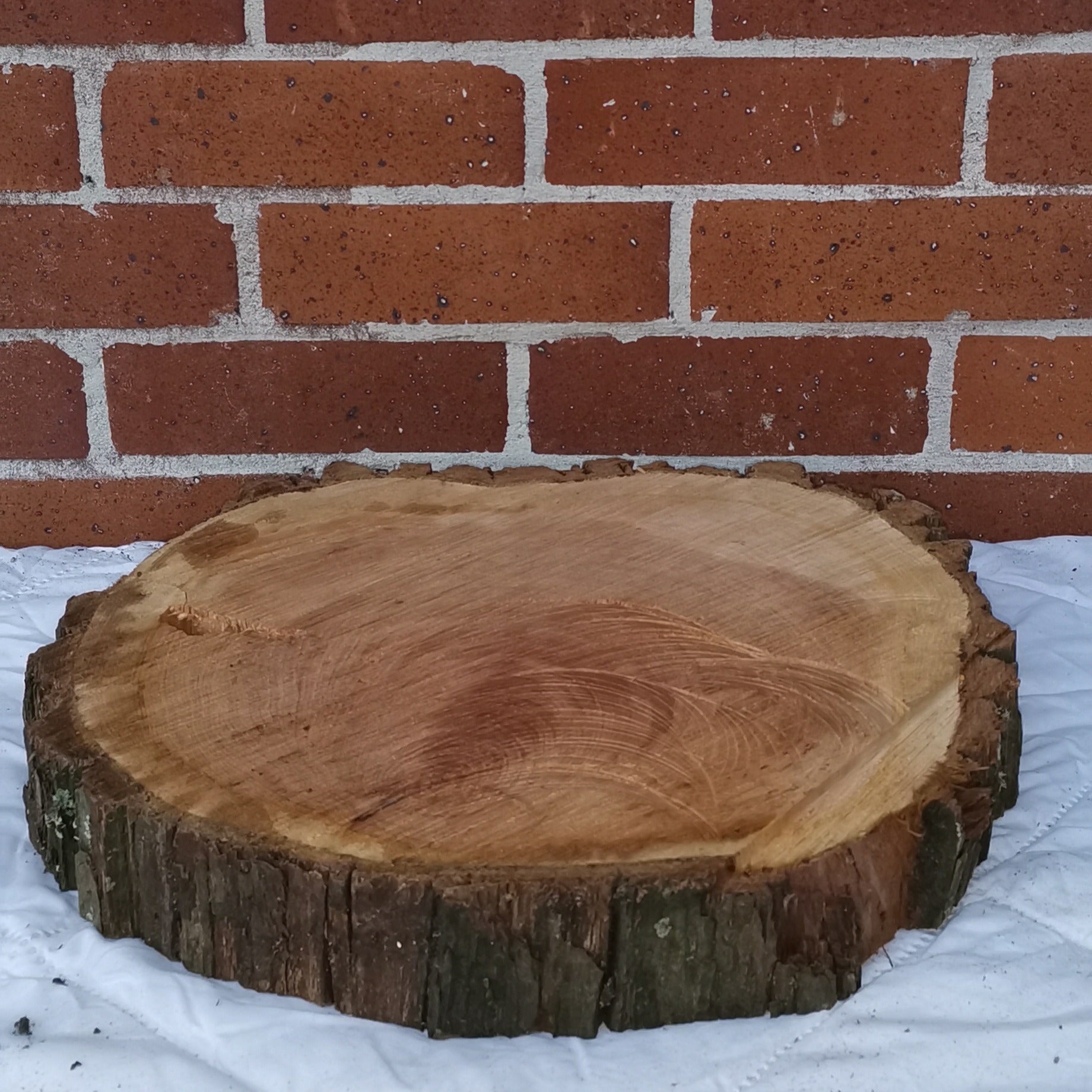 Medium Macrocarpa Round