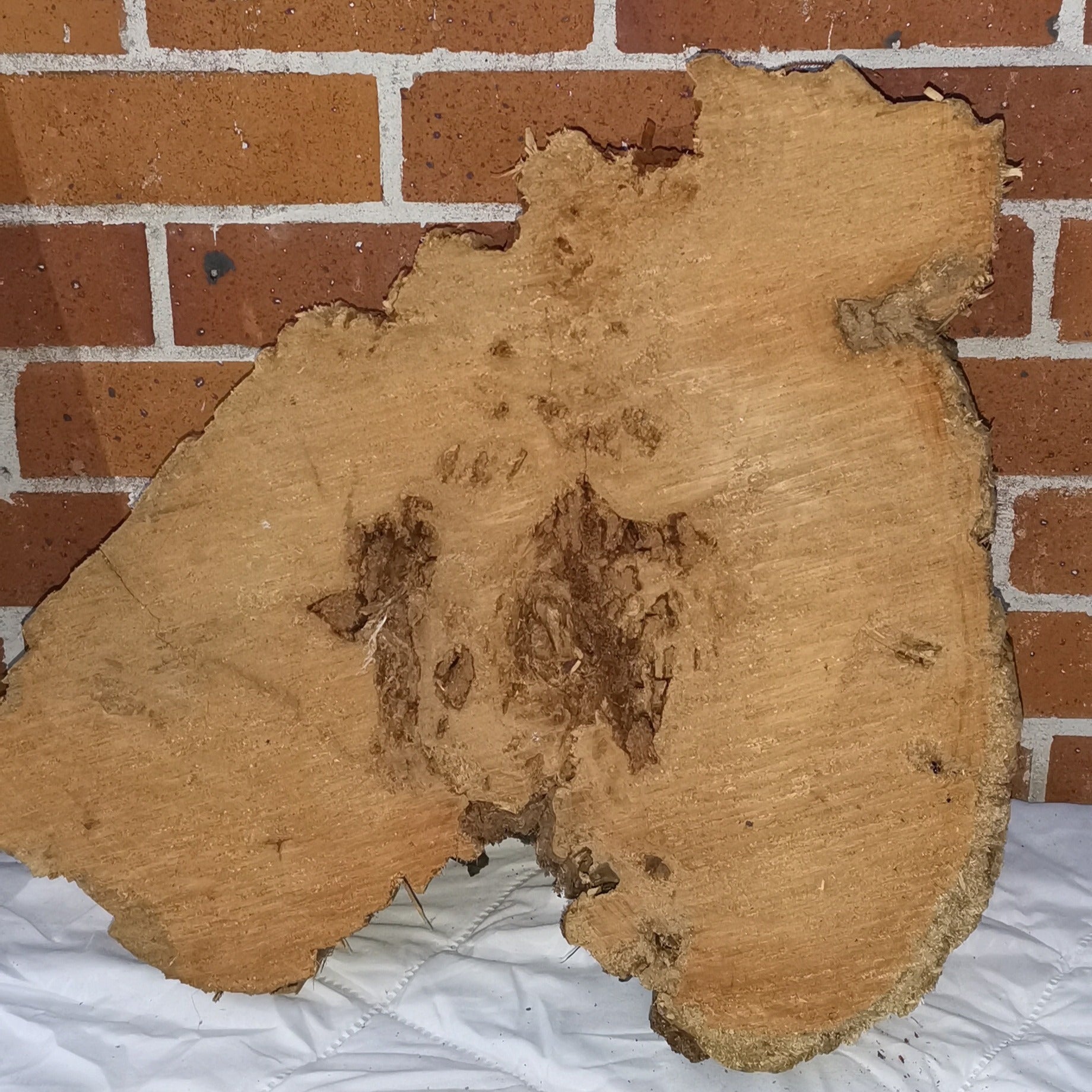 Macrocarpa rustic round