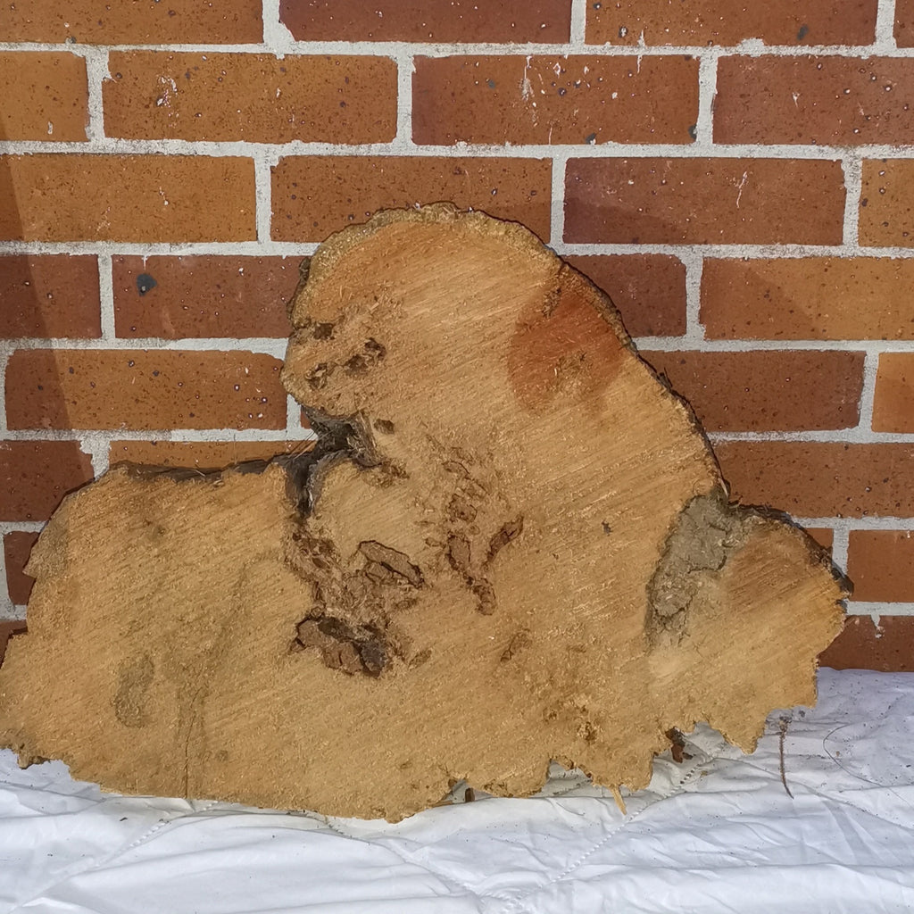 Macrocarpa rustic round